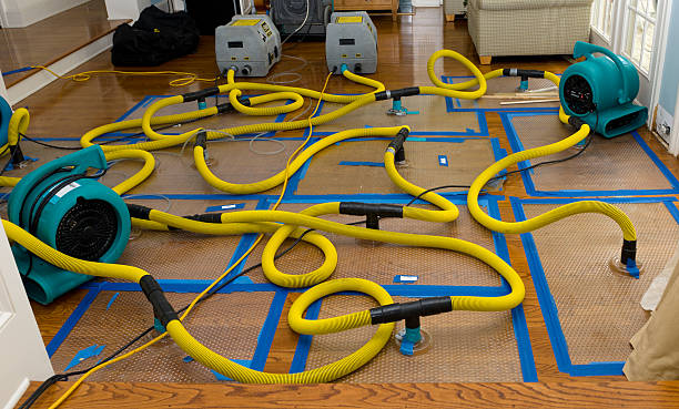 Professional Burst Pipe Water Damage technician working in Clarksville, IA